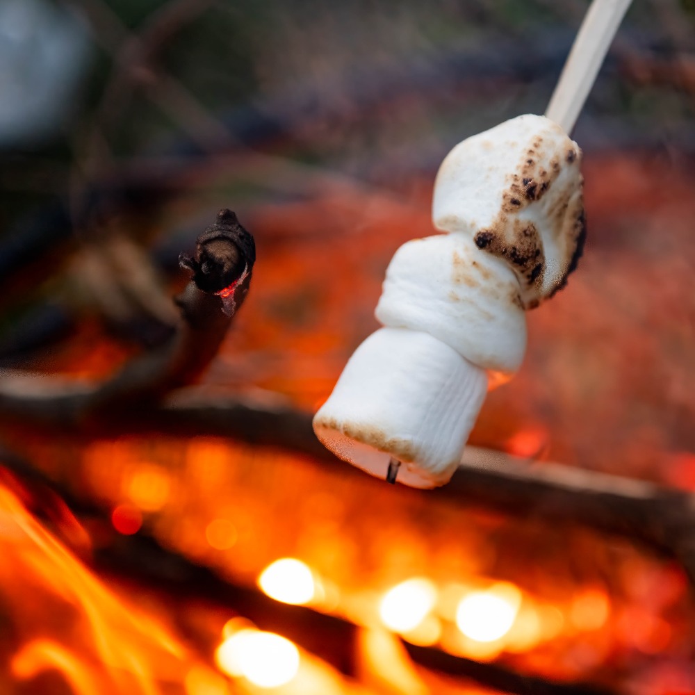 Aztec Adventure The Lost Valley February Half Term £6 Golf Offer plus toasting marshmallows