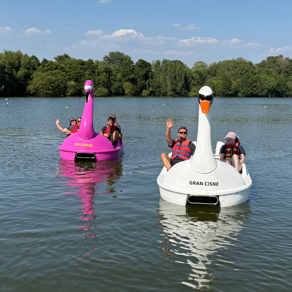 Flamingo and Swan Pedalo Hire at Aztec Adventure Upton Warren