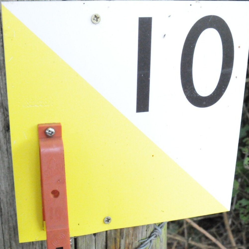 New for 2026 Little Adventurers Days for 5-7 years