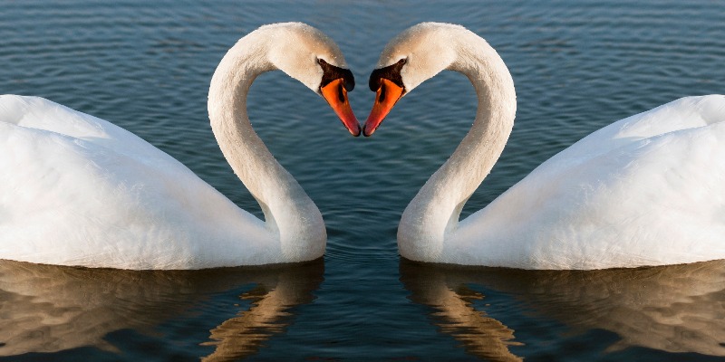 Give the Gift of Adventure This Valentine's Day