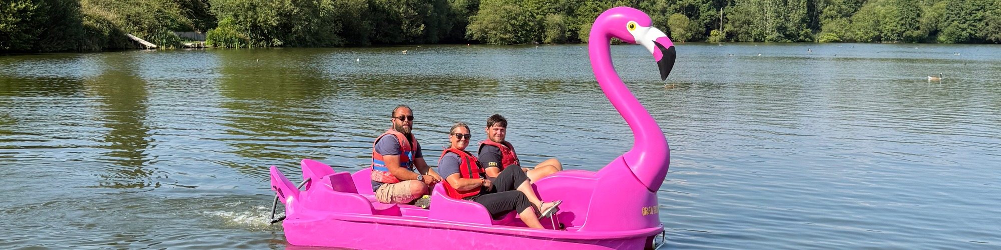 Swan and Flamingo Pedalo Hire at Aztec Adventure Upton Warren