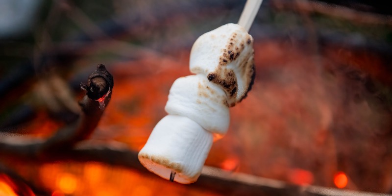 February Half Term Fun: £6 Adventure Golf and Fire Pit Treat at Aztec Adventure The Lost Valley