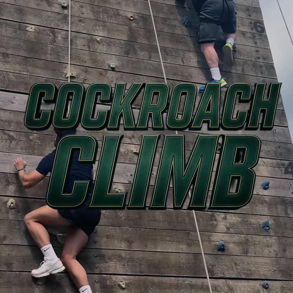 Group enjoying team-building and adventure activities at Aztec Adventure
