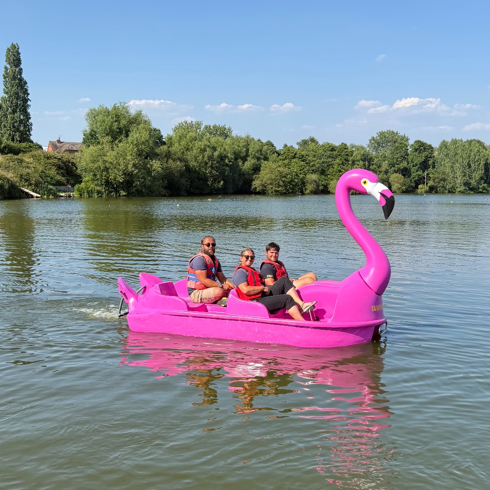 Flamingo and Swan Pedalo Hire at Aztec Adventure Upton Warren