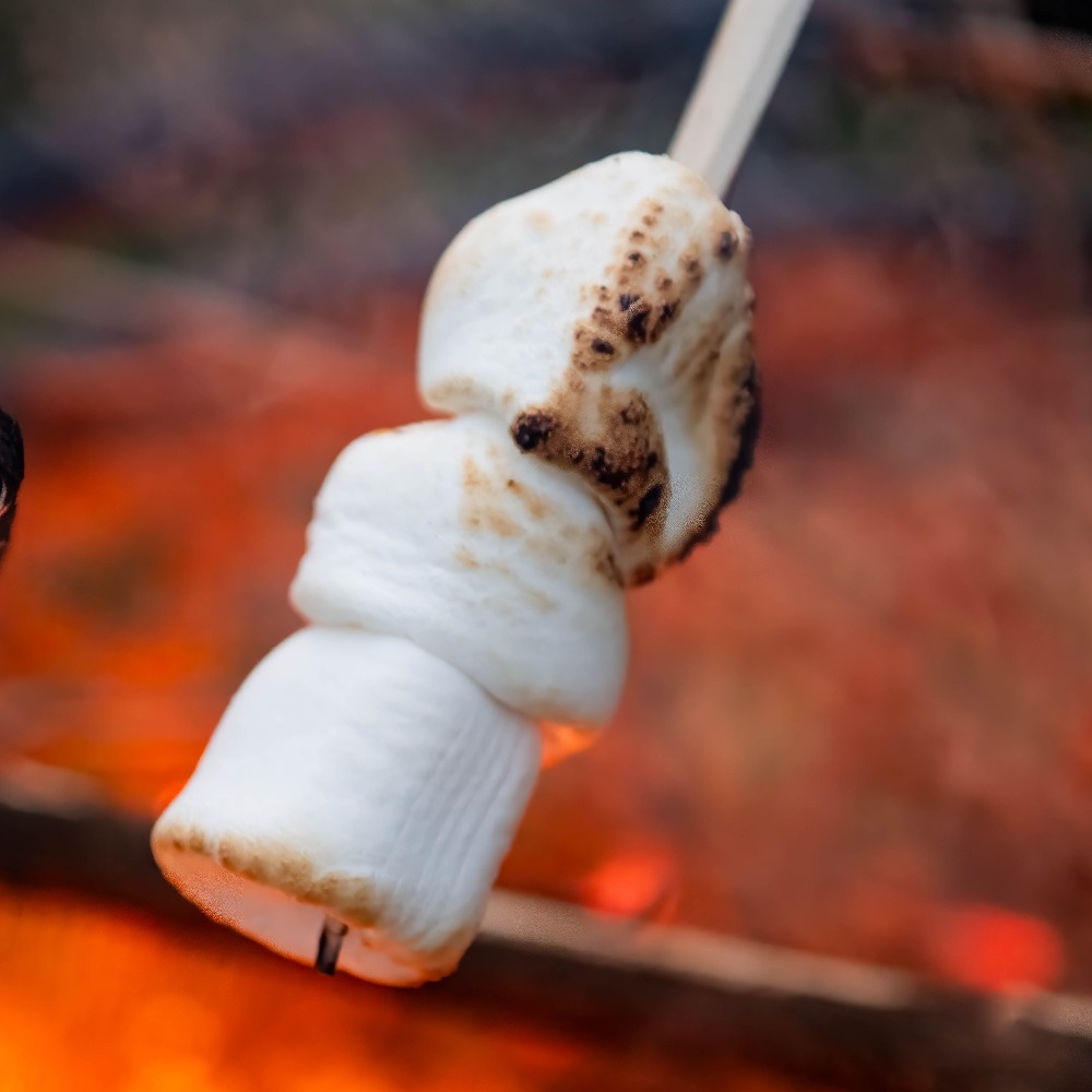 February Half Term Fun: £6 Adventure Golf and Fire Pit Treat at Aztec Adventure The Lost Valley