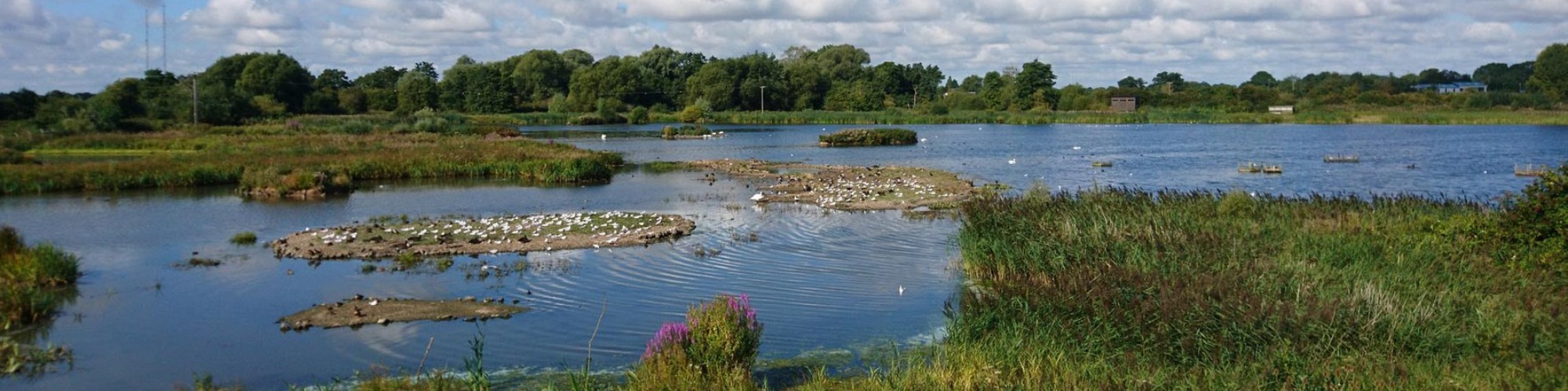Upton-Warren-The-Moors-CREDIT-Wendy-Carter