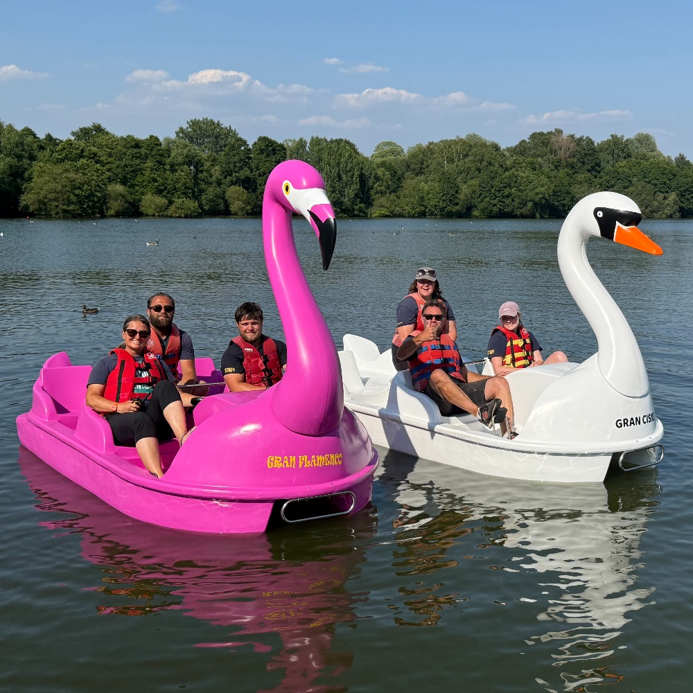 Flamingo and Swan Pedalo Hire at Aztec Adventure Upton Warren
