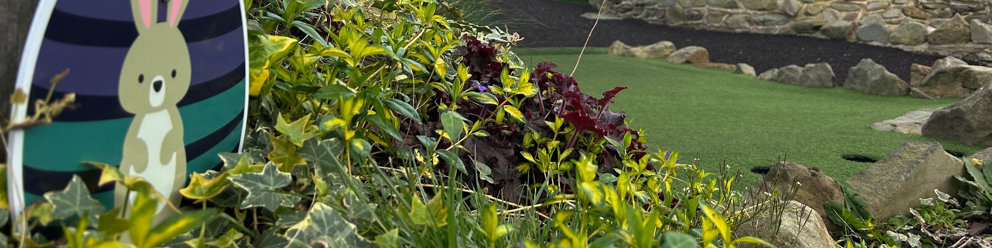 Easter Adventures at Aztec Adventure | Egg Hunts, High Ropes & More!